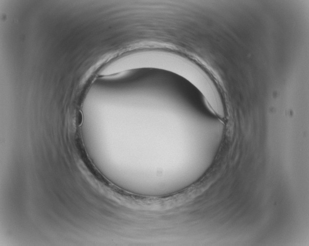 X0000086090015200704202227