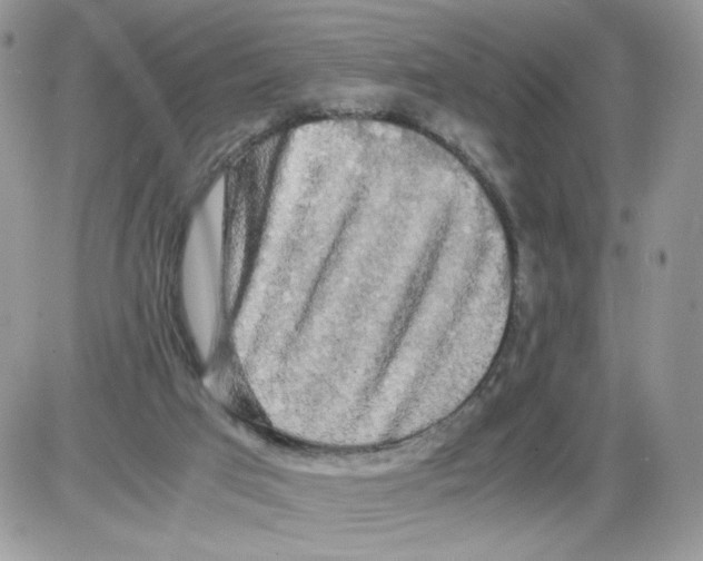 X0000086090017200704202227