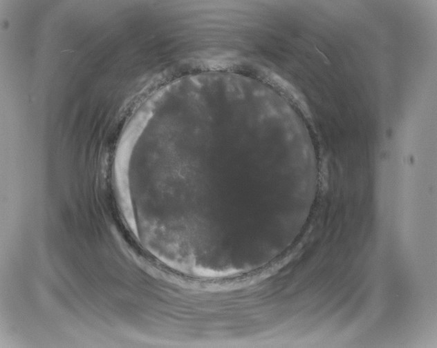 X0000086090018200704202227