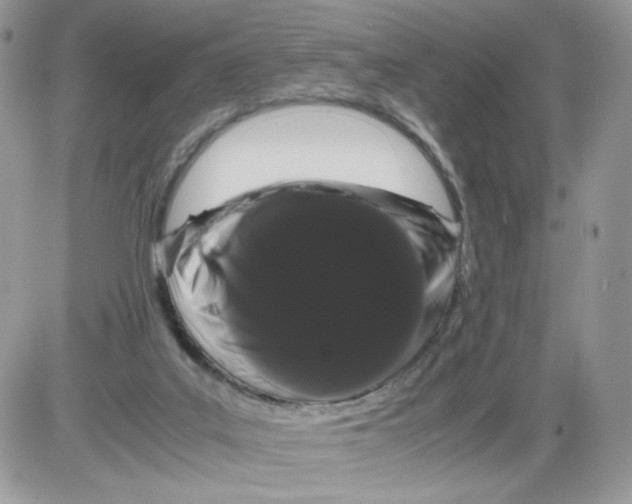 X0000086090019200704202227