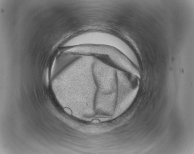 X0000086090020200704202227