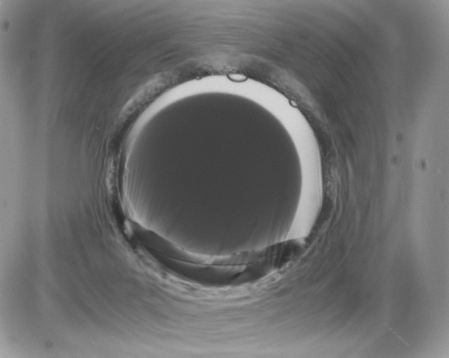 X0000086090023200704202227