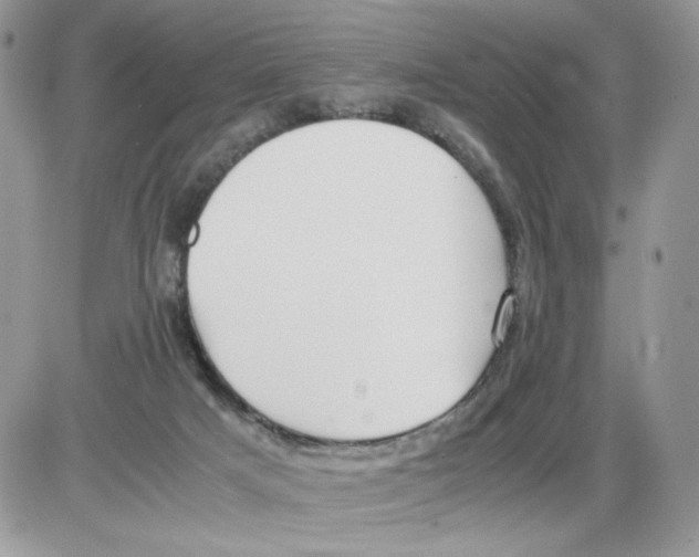 X0000086090025200704202227