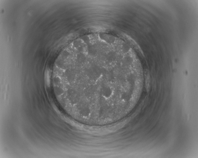 X0000086090026200704202227