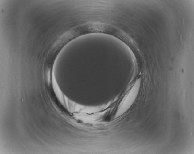 X0000086090027200704202227