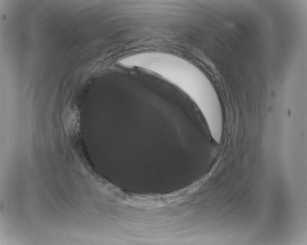 X0000086090029200704202227