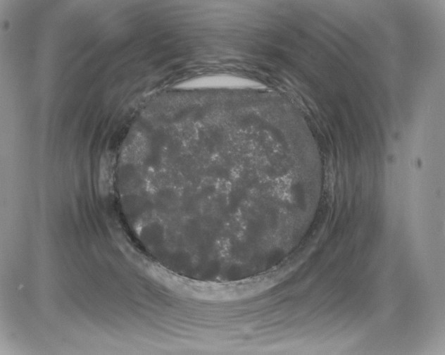 X0000086090030200704202227