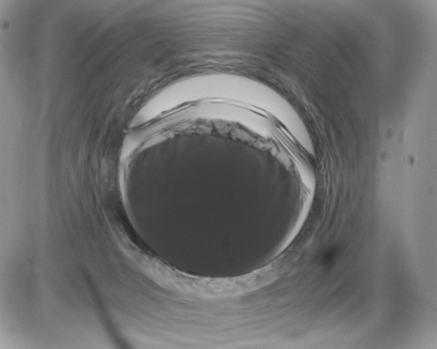 X0000086090031200704202227