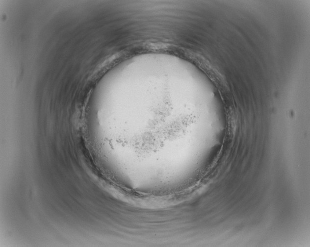 X0000086090032200704202227