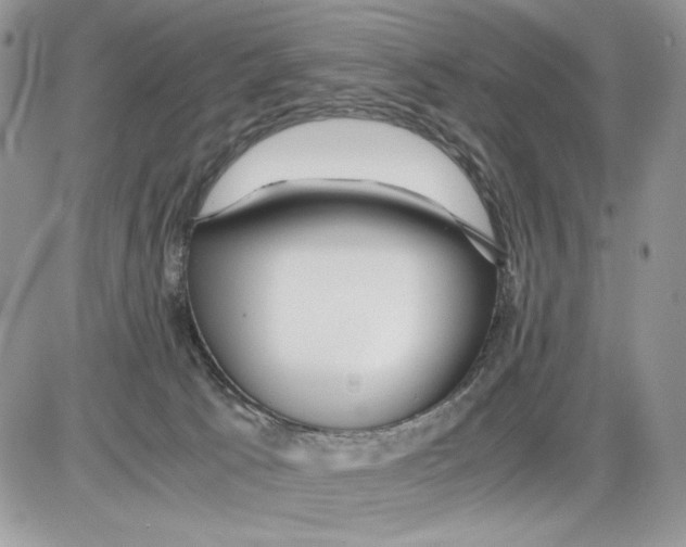 X0000086090033200704202227