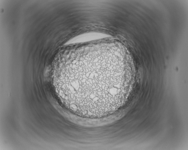 X0000086090034200704202227