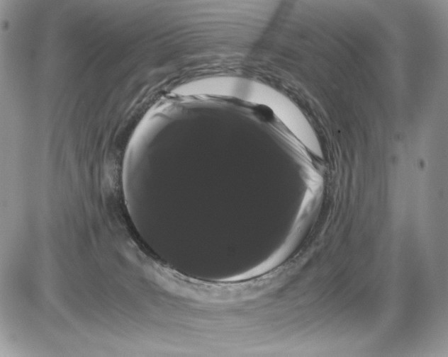 X0000086090035200704202227