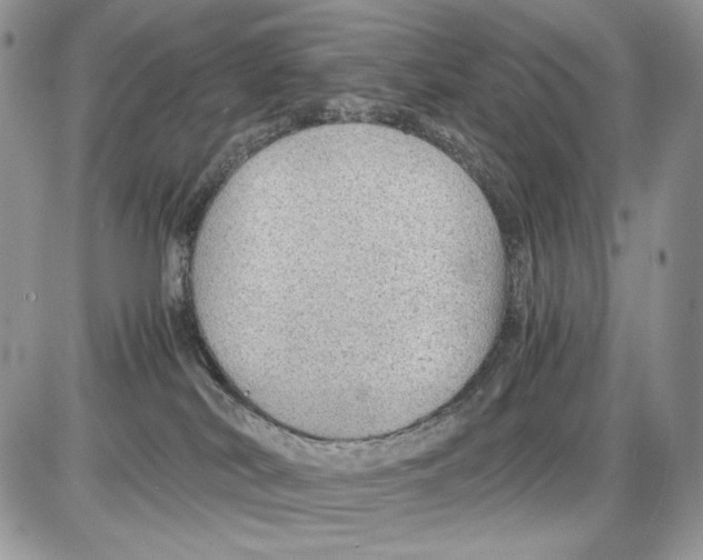 X0000086090038200704202227