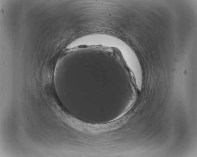 X0000086090039200704202227