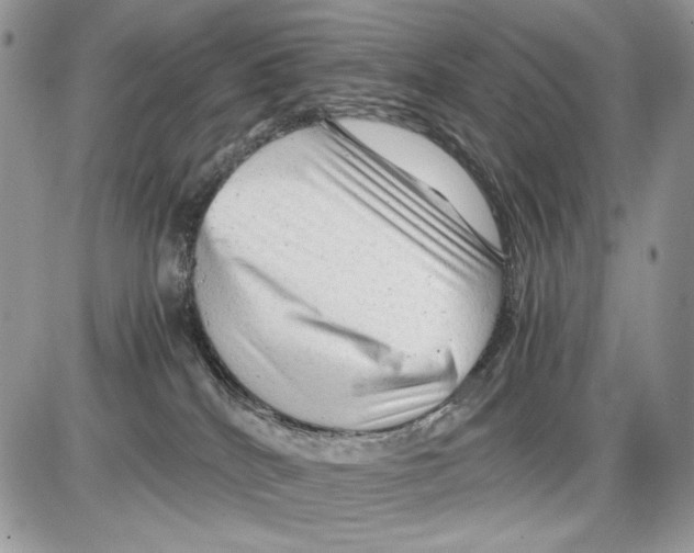 X0000086090040200704202227