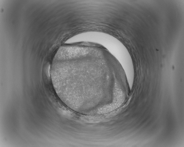 X0000086090041200704202227