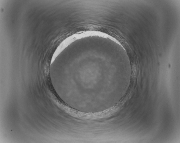 X0000086090043200704202227