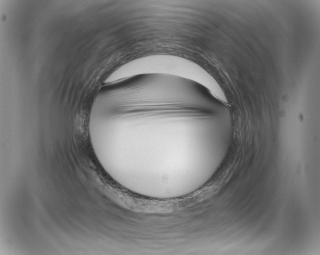 X0000086090044200704202227