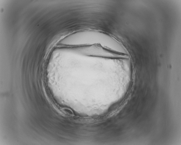 X0000086090049200704202226