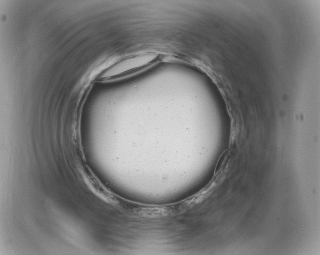 X0000086090050200704202226