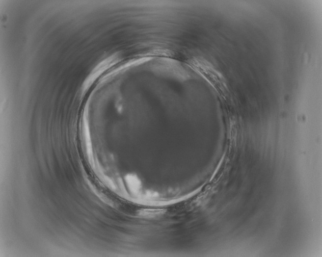 X0000086090051200704202226