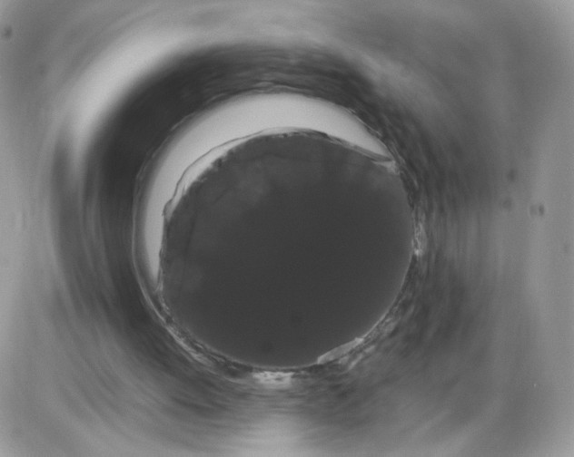 X0000086090052200704202226