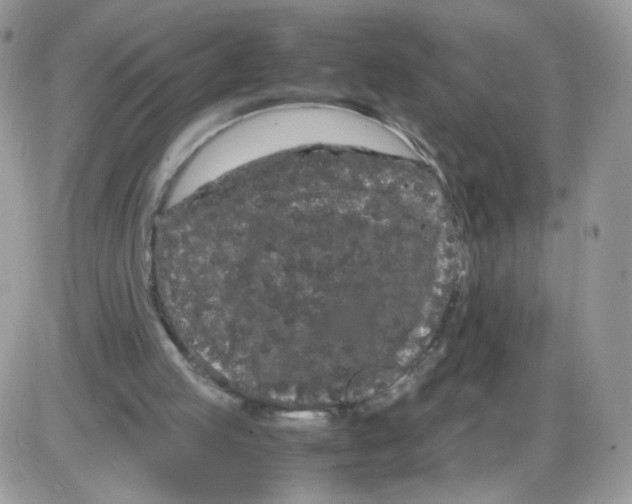 X0000086090053200704202226