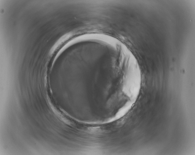 X0000086090054200704202226