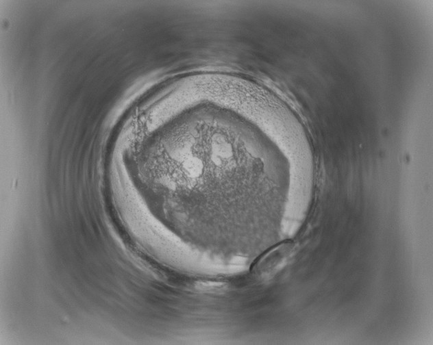 X0000086090055200704202226