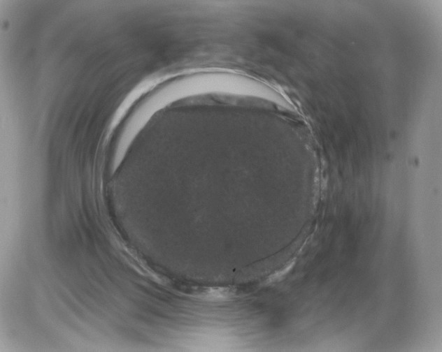 X0000086090056200704202226