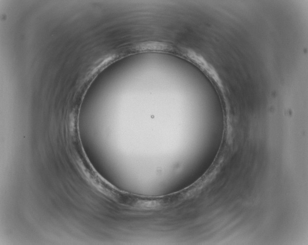 X0000086090057200704202226