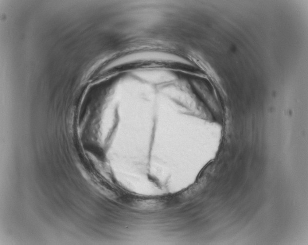 X0000086090058200704202226