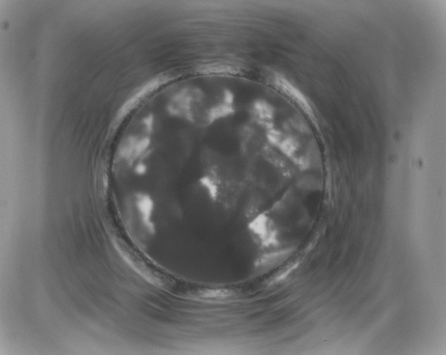 X0000086090059200704202226