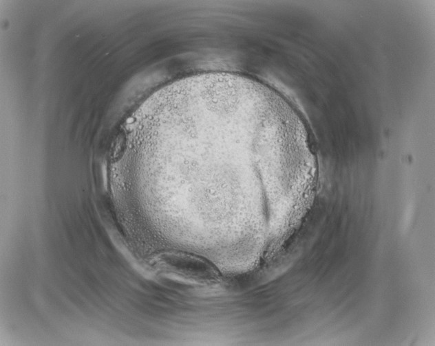 X0000086090061200704202226