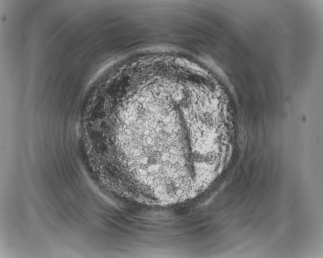 X0000086090063200704202226