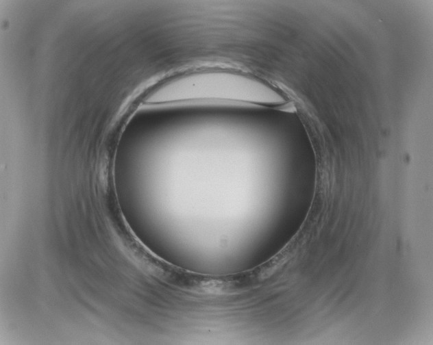 X0000086090064200704202226