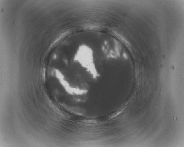 X0000086090067200704202226