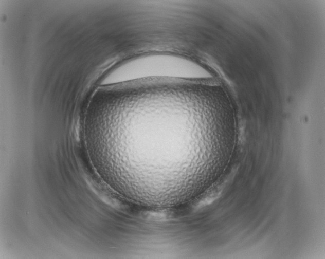 X0000086090068200704202226