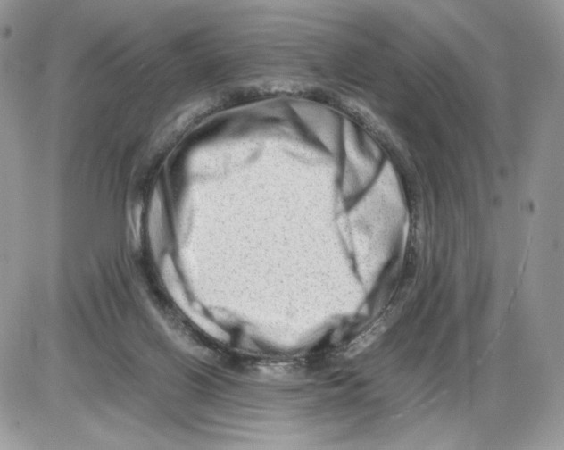 X0000086090070200704202226