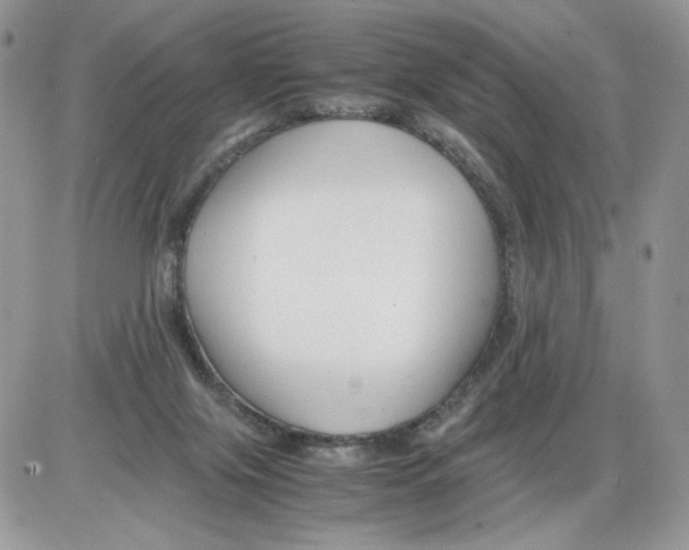 X0000086090071200704202226