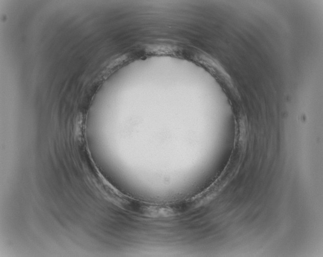 X0000086090073200704202226