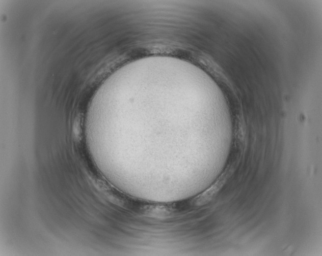 X0000086090074200704202226