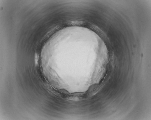 X0000086090075200704202226