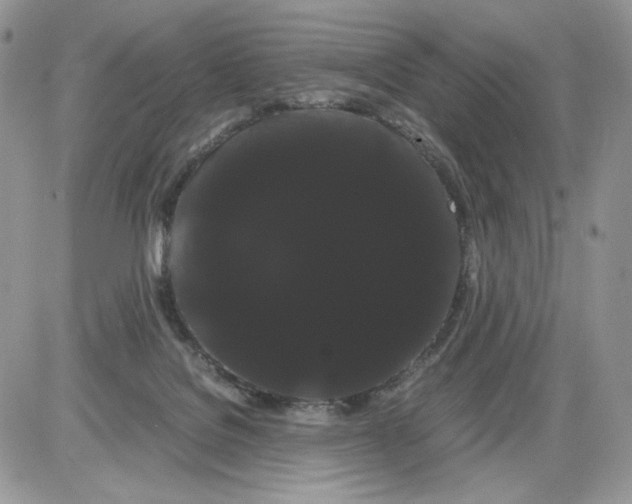 X0000086090076200704202226