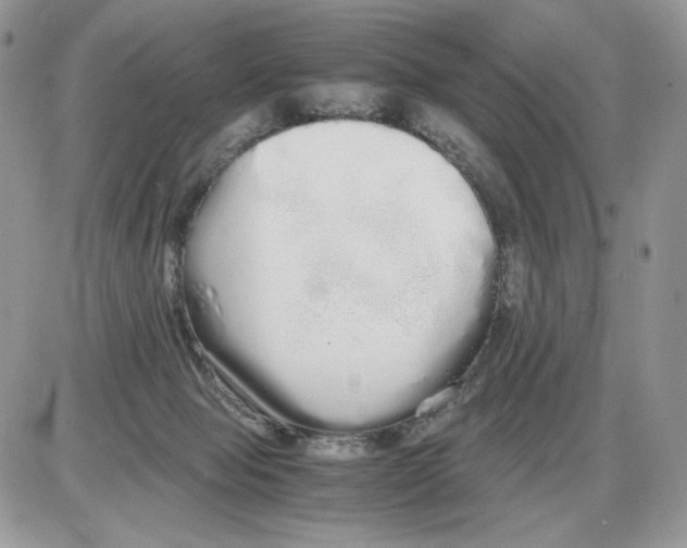 X0000086090077200704202226