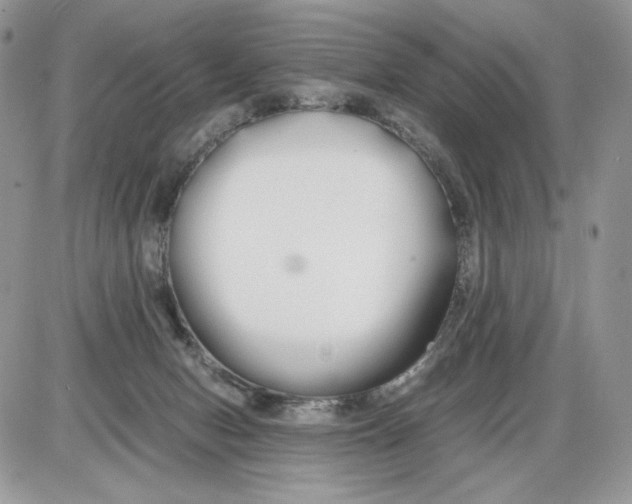 X0000086090078200704202226