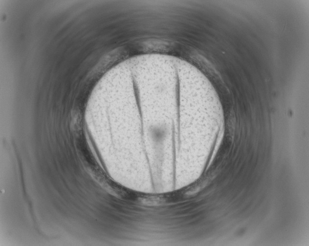 X0000086090079200704202226