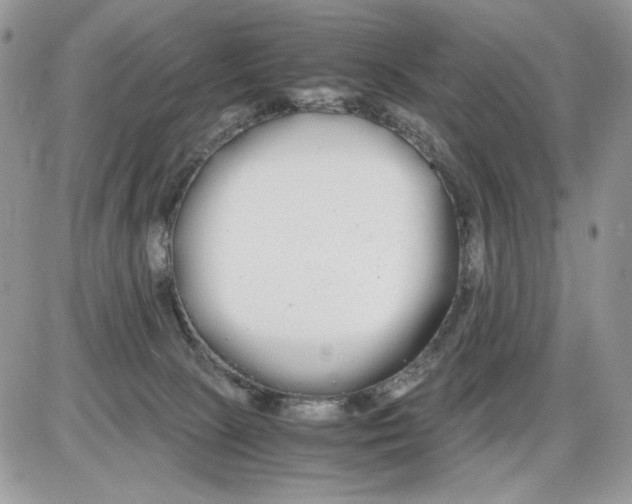 X0000086090081200704202227