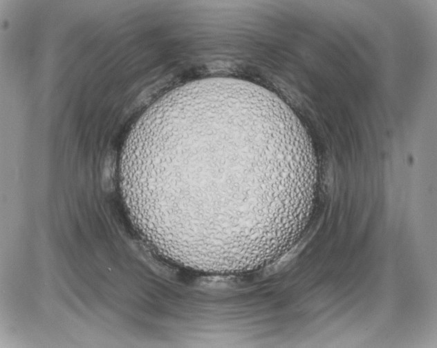 X0000086090082200704202227