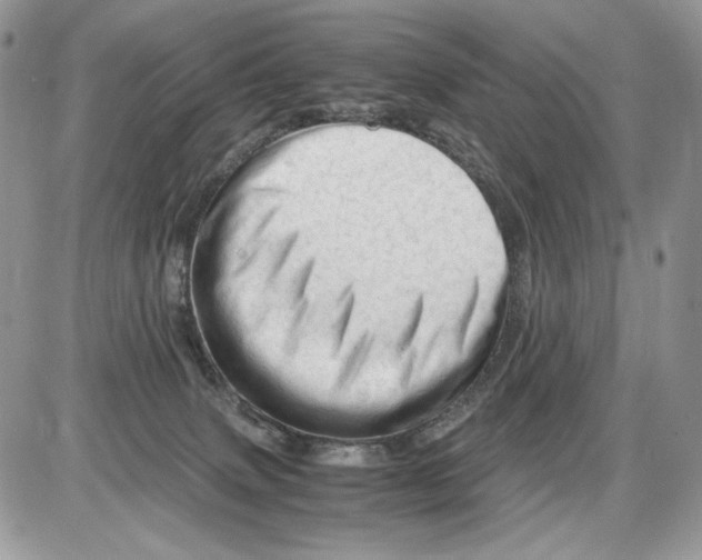 X0000086090083200704202227